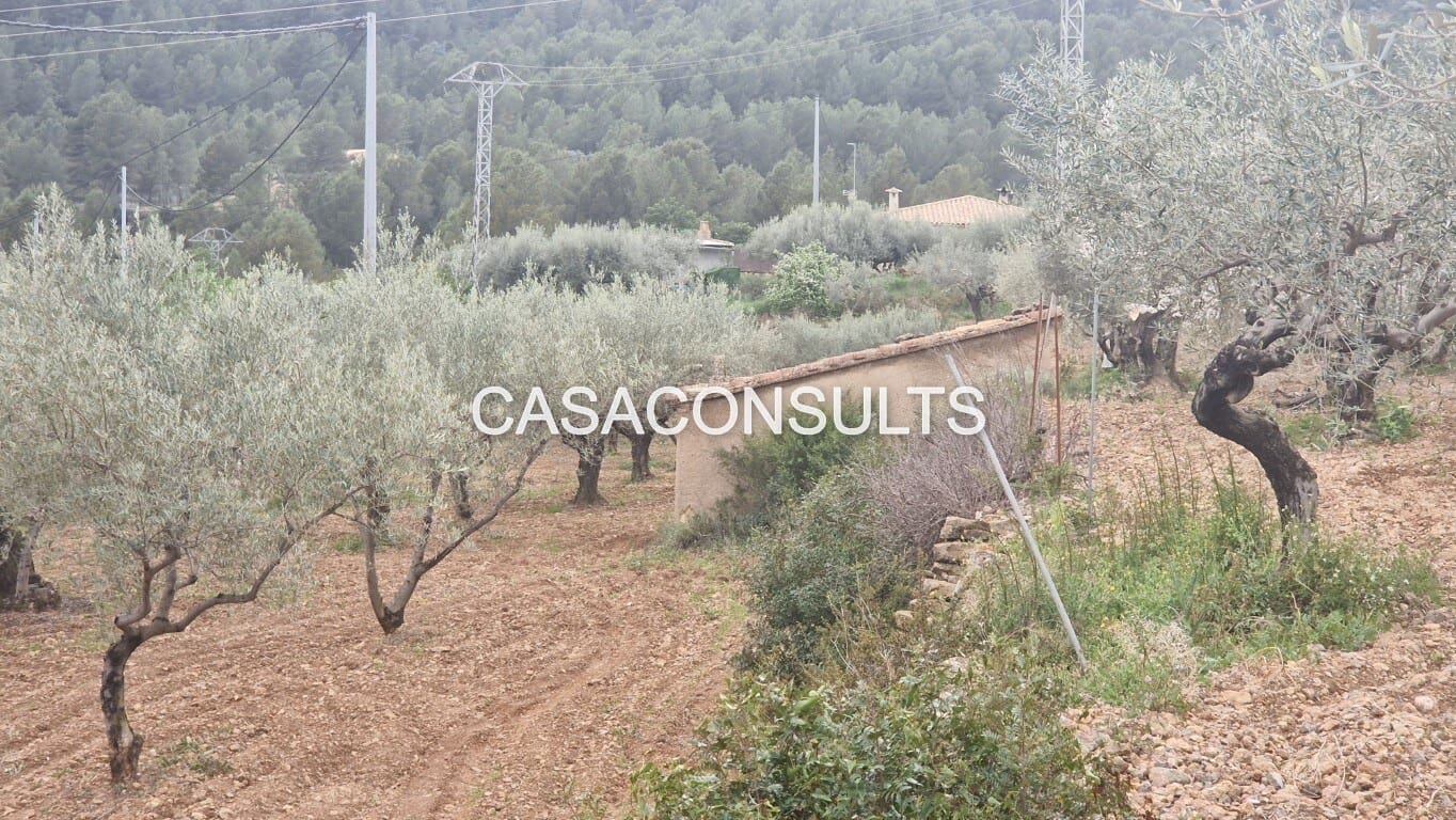 1 soverom Hus til salgs i Llucena  - € 32 000 (Ref: 9707992)