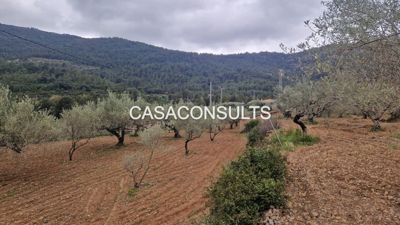 1 soverom Hus til salgs i Llucena  - € 32 000 (Ref: 9707992)