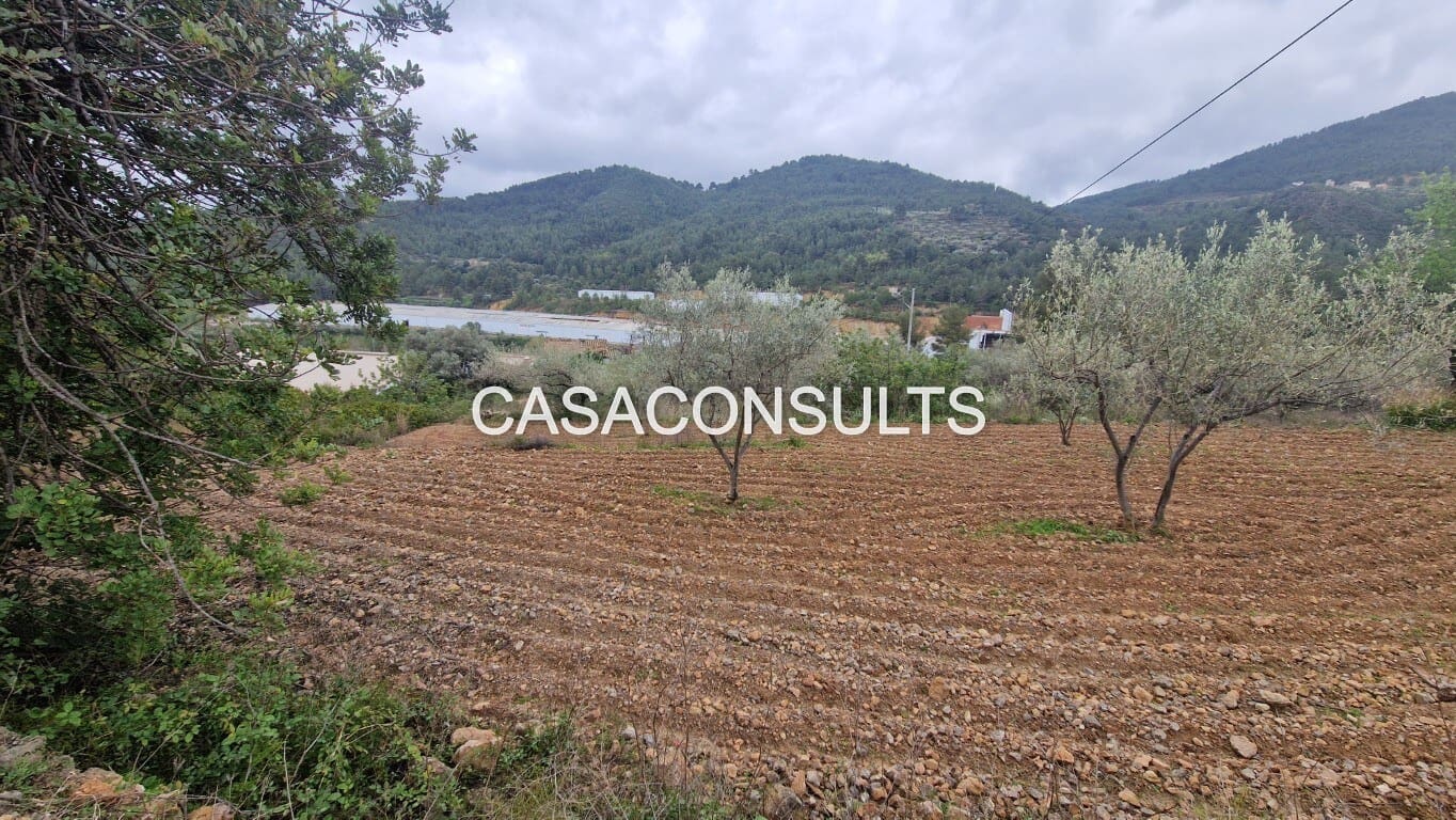 1 soverom Hus til salgs i Llucena  - € 32 000 (Ref: 9707992)