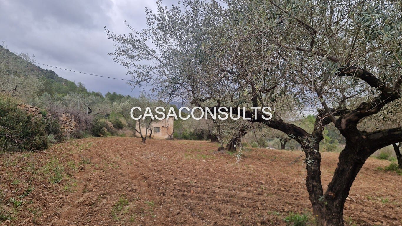 1 soverom Hus til salgs i Llucena  - € 32 000 (Ref: 9707992)