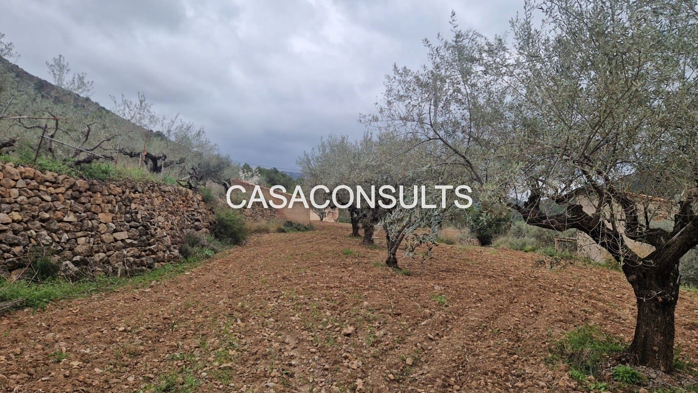 1 soverom Hus til salgs i Llucena  - € 32 000 (Ref: 9707992)