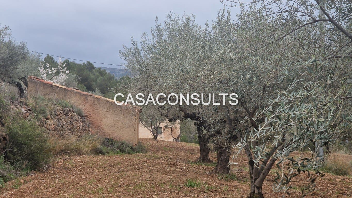 1 soverom Hus til salgs i Llucena  - € 32 000 (Ref: 9707992)