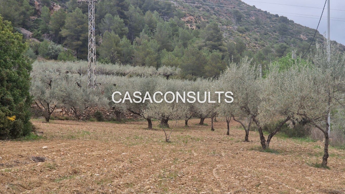 1 soverom Hus til salgs i Llucena  - € 32 000 (Ref: 9707992)