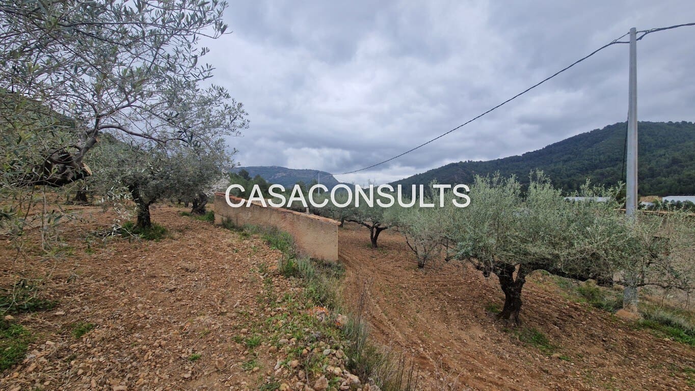 1 soverom Hus til salgs i Llucena  - € 32 000 (Ref: 9707992)