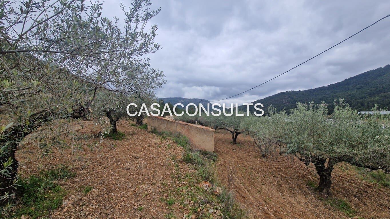 1 soverom Hus til salgs i Llucena  - € 32 000 (Ref: 9707992)