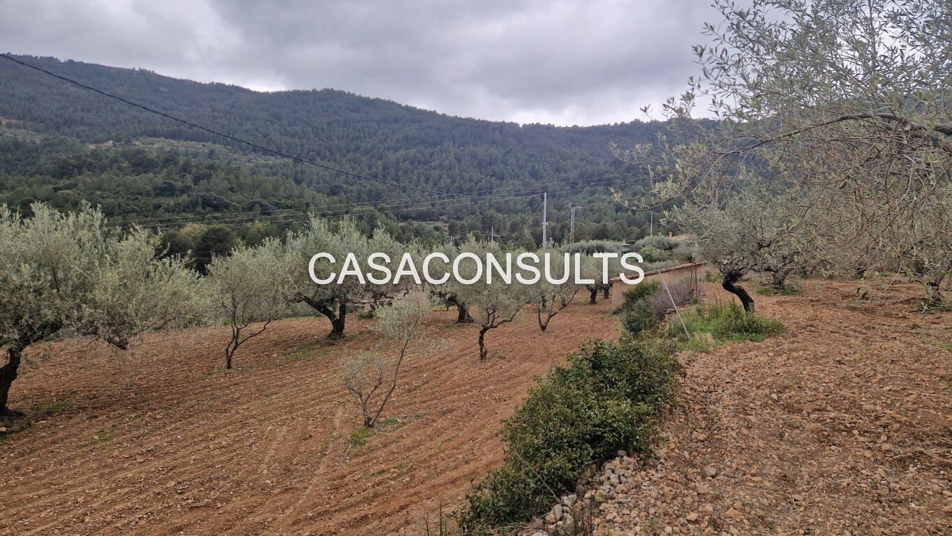 1 soverom Hus til salgs i Llucena  - € 32 000 (Ref: 9707992)