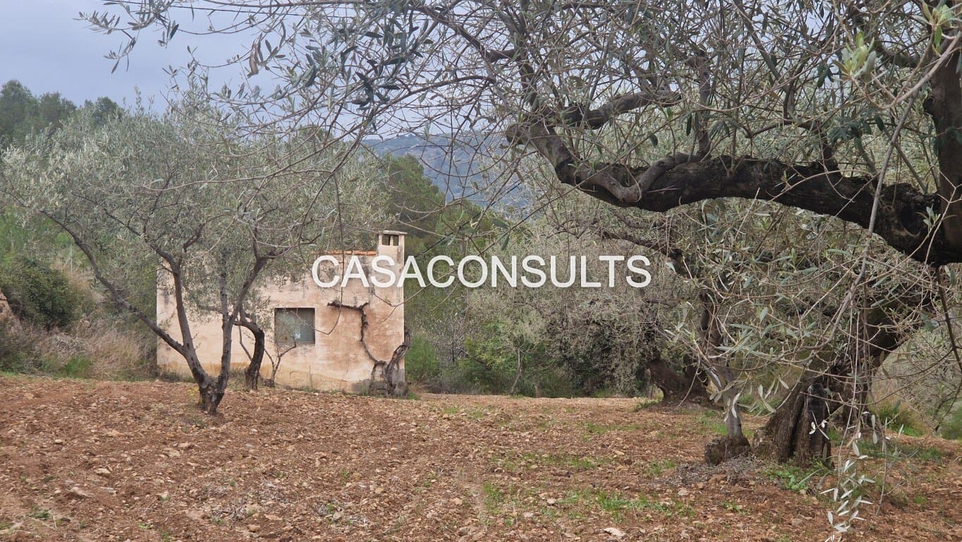 1 soverom Hus til salgs i Llucena  - € 32 000 (Ref: 9707992)