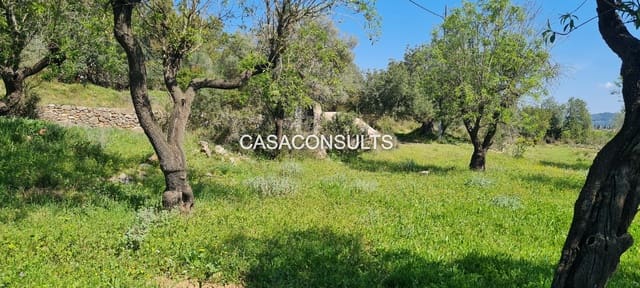 5 sypialnia Willa na sprzedaż w Les Useres - 260 000 € (Ref: 9778383)