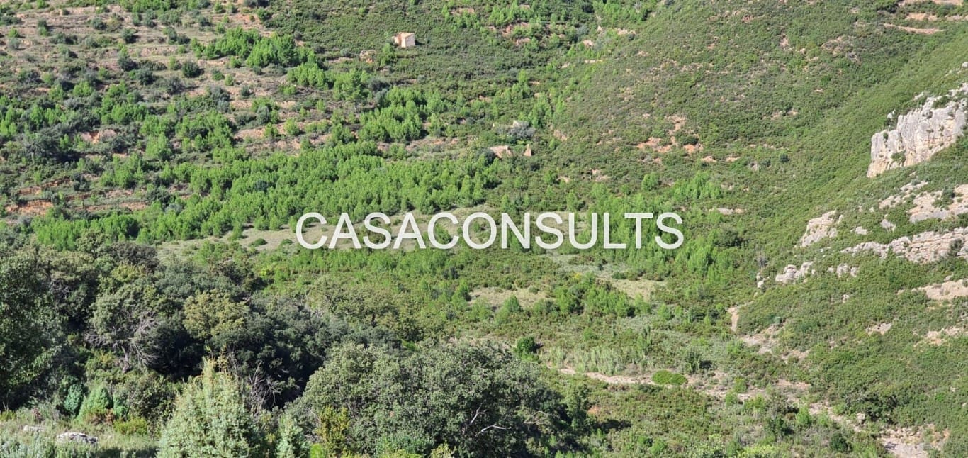 Undeveloped Land for sale in Llucena  - € 35,000 (Ref: 9849742)