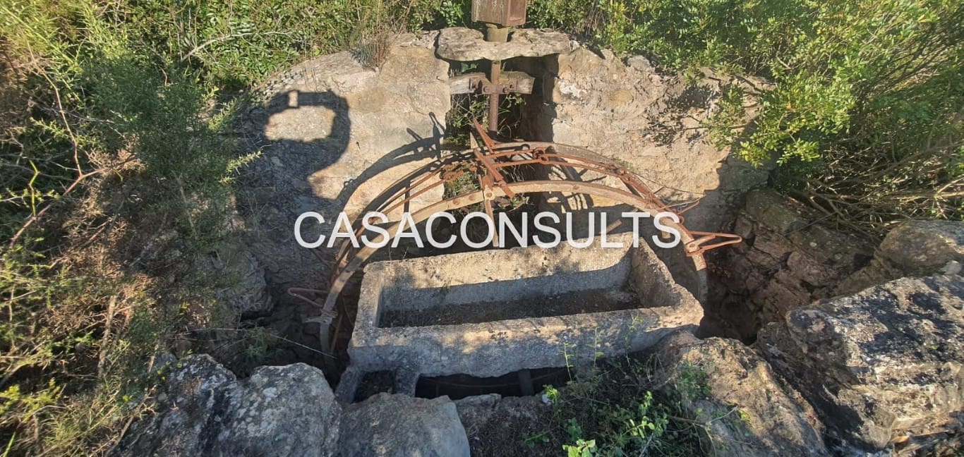 Undeveloped Land for sale in Llucena  - € 35,000 (Ref: 9849742)