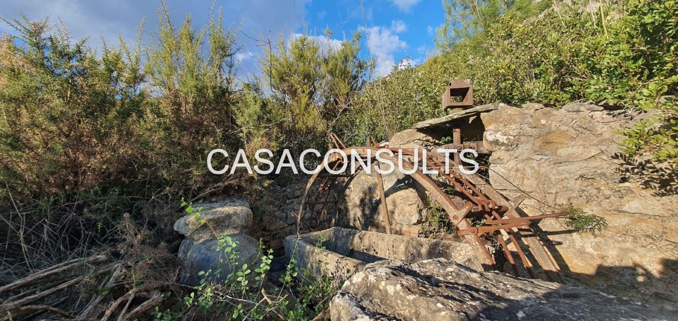 Undeveloped Land for sale in Llucena  - € 35,000 (Ref: 9849742)