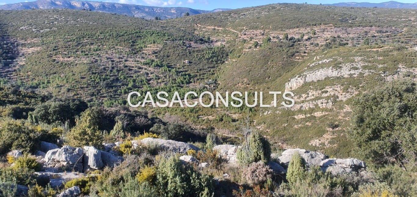 Undeveloped Land for sale in Llucena  - € 35,000 (Ref: 9849742)