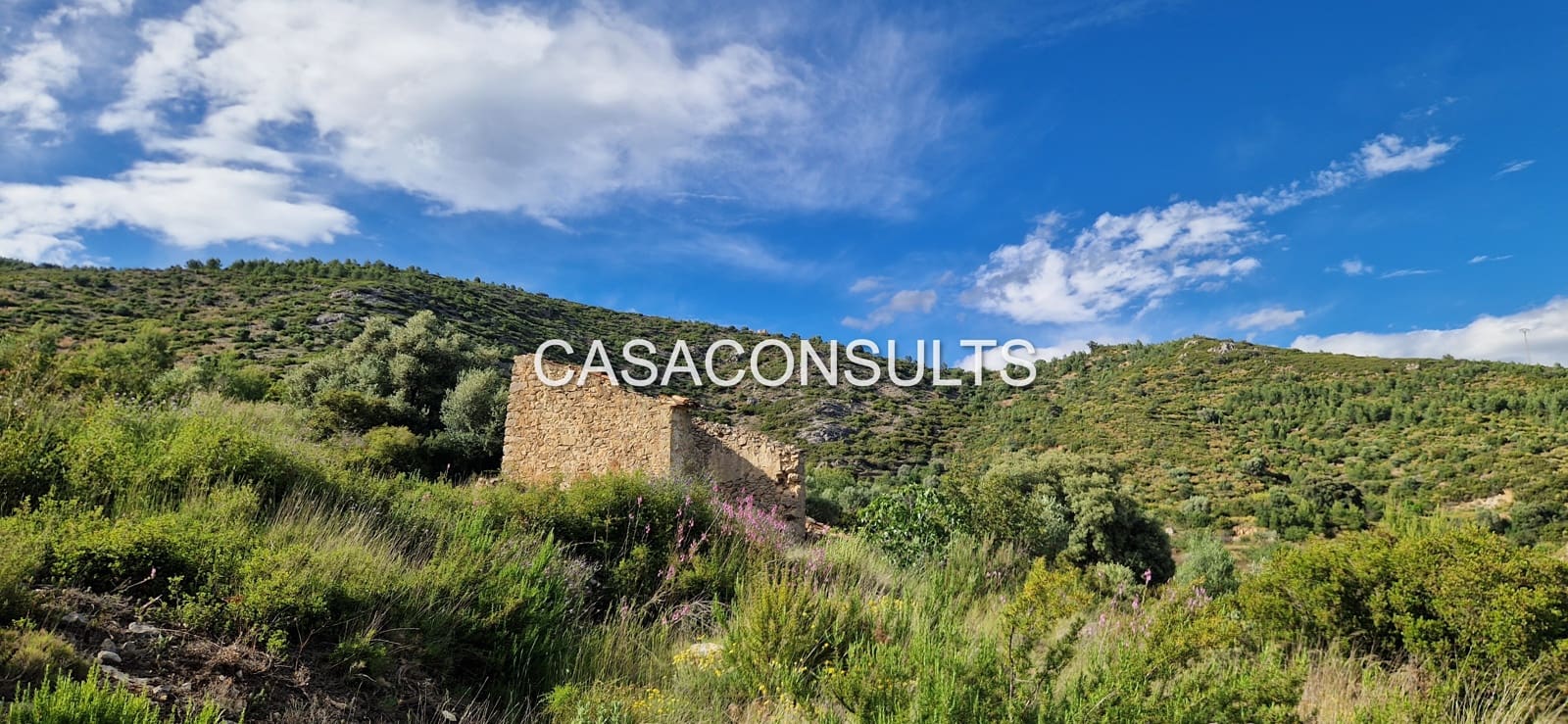 Undeveloped Land for sale in Les Useres - € 35,000 (Ref: 9921035)