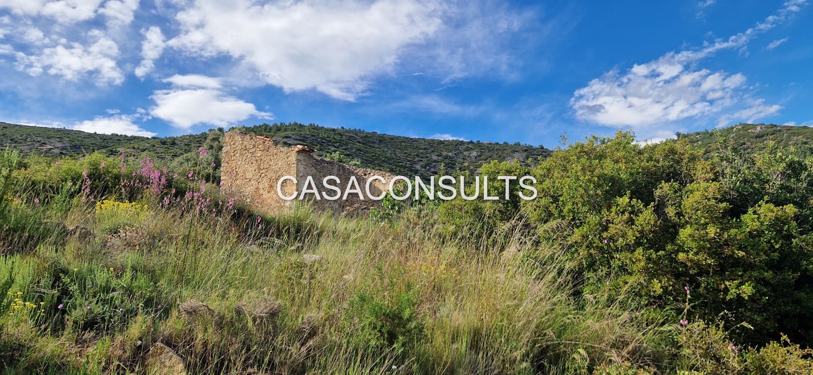 Undeveloped Land for sale in Les Useres - € 35,000 (Ref: 9921035)