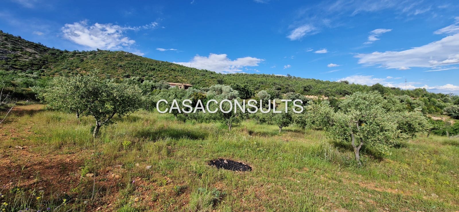 Undeveloped Land for sale in Les Useres - € 35,000 (Ref: 9921035)
