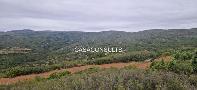 Ubebygd land til salgs i Les Useres - € 18 000 (Ref: 9921041)