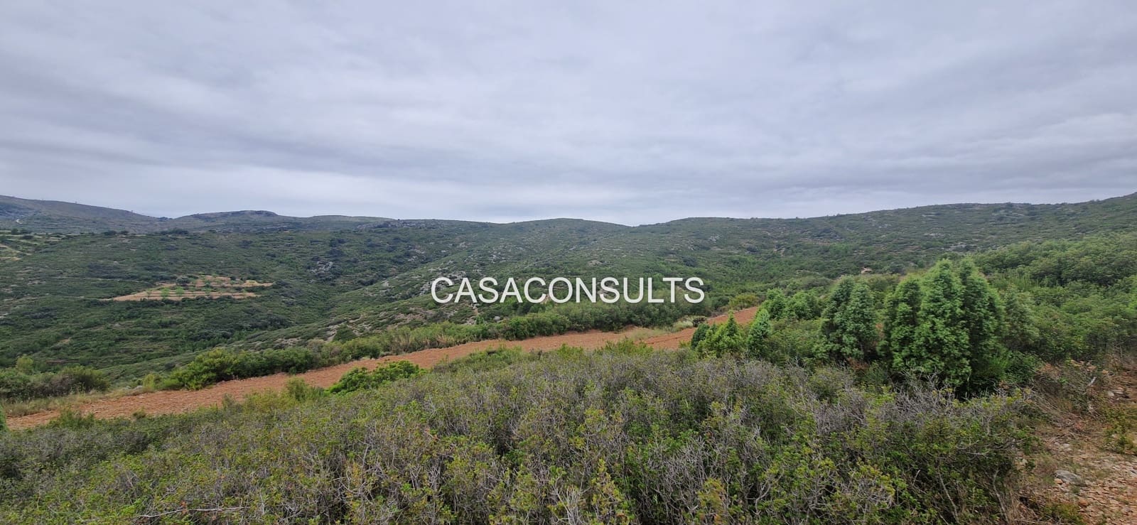 Terre non Aménagée à vendre à Les Useres - 18 000 € (Ref: 9921041)