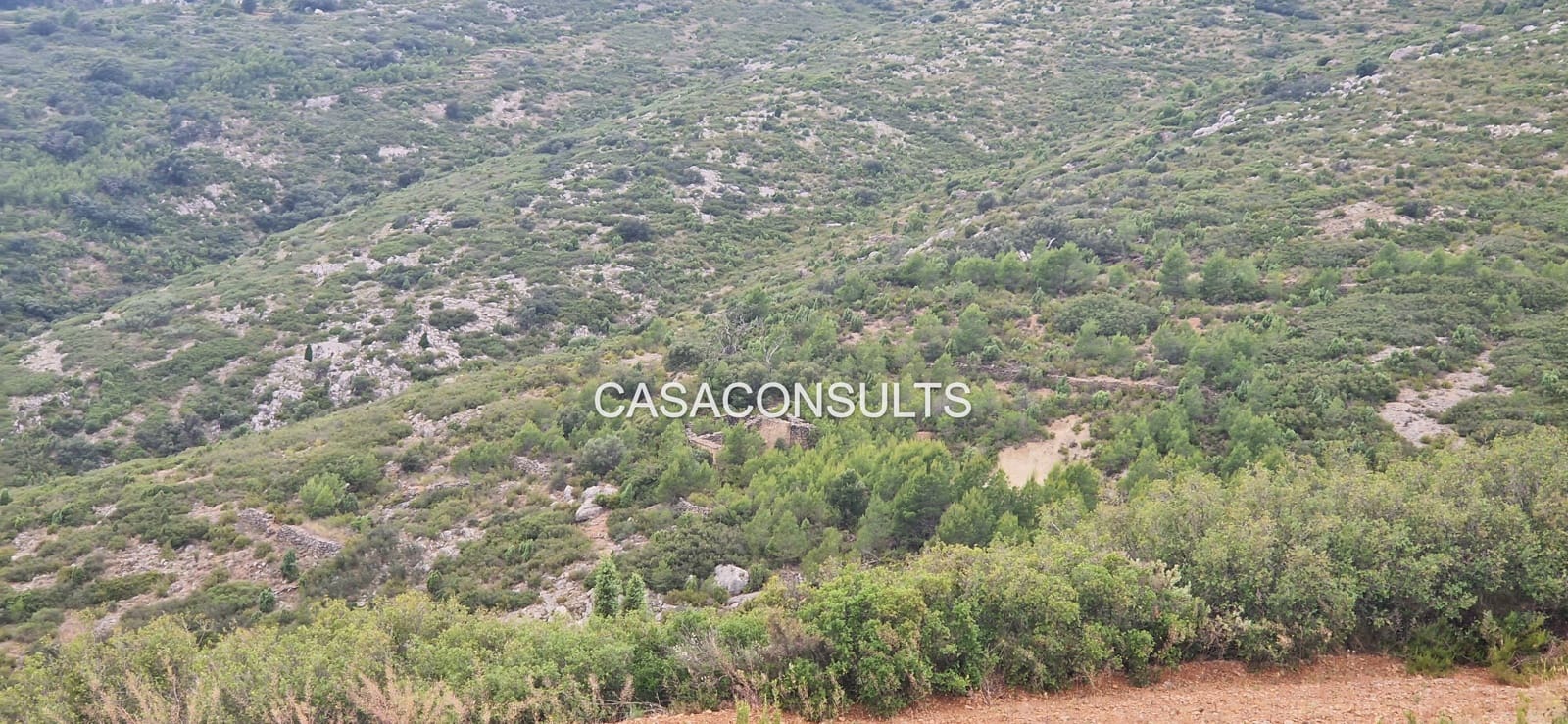 Terre non Aménagée à vendre à Les Useres - 18 000 € (Ref: 9921041)