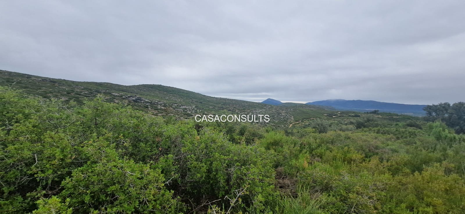 Undeveloped Land for sale in Les Useres - € 80,000 (Ref: 9921103)