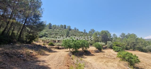 Terreno/Finca Rústica en Costur en venta - 8.000 € (Ref: 9979219)