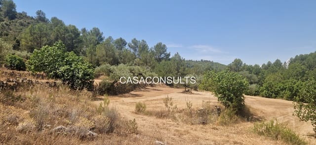 Terreno/Finca Rústica en Costur en venta - 8.000 € (Ref: 9979219)