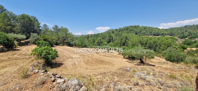 Terreno/Finca Rústica en Costur en venta - 8.000 € (Ref: 9979219)