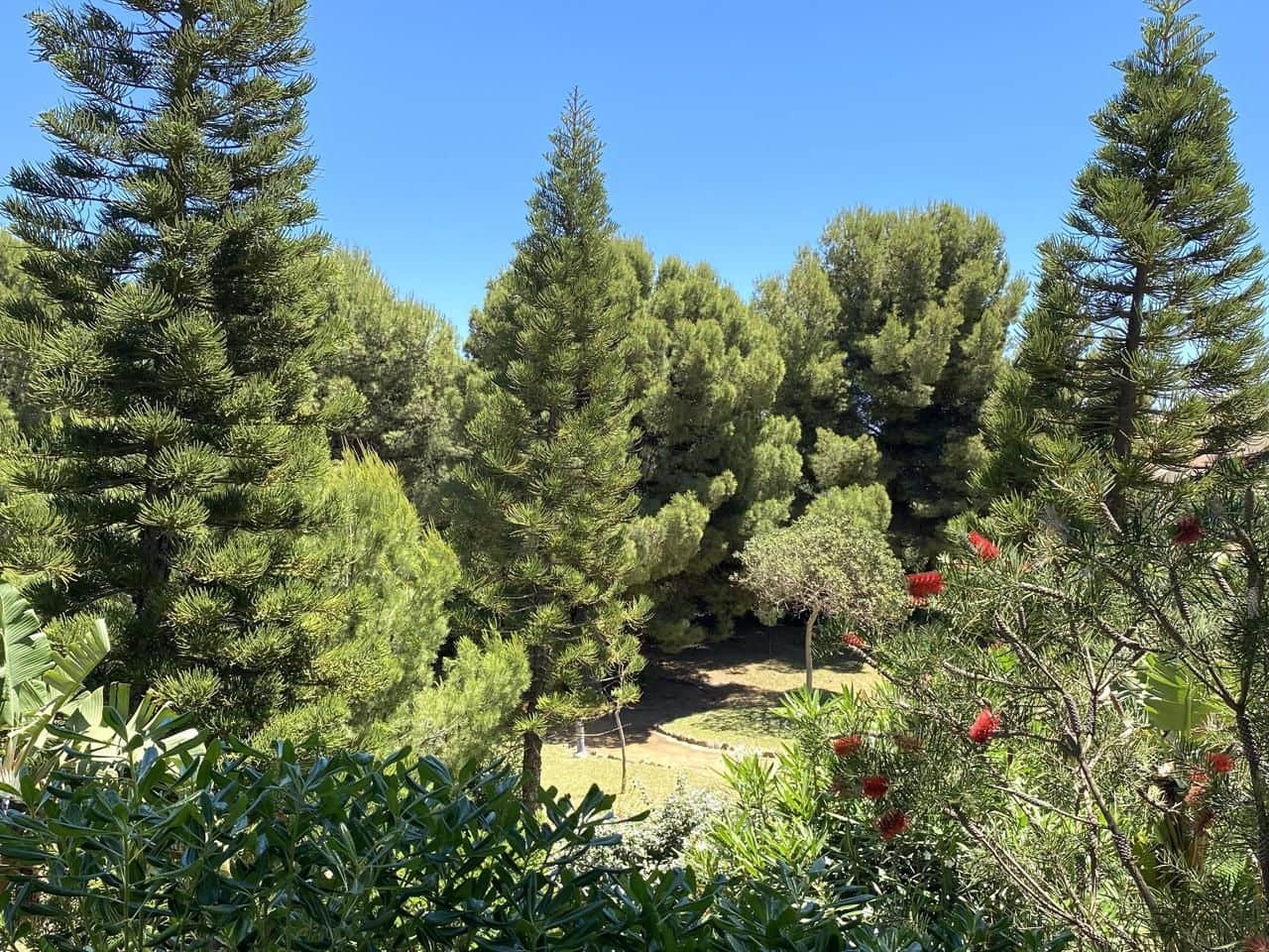 3 Zimmer Wohnung zu vermieten in Benalmadena mit Pool Garage - 1.450 € (Ref: 9833339)