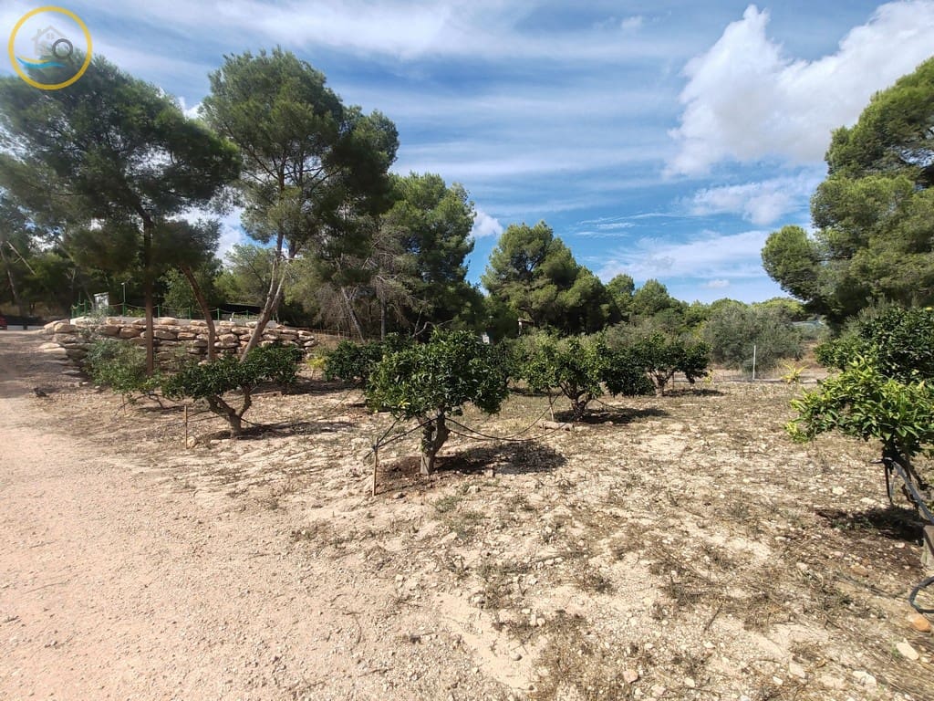 2 soverom Finca/Herregård til salgs i Pilar de la Horadada med svømmebasseng garasje - € 249 990 (Ref: 10100802)