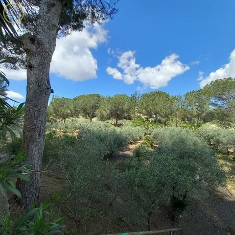 2 sypialnia Finka/Dom wiejski na sprzedaż w Pilar de la Horadada z basenem - 199 950 € (Ref: 8947007)