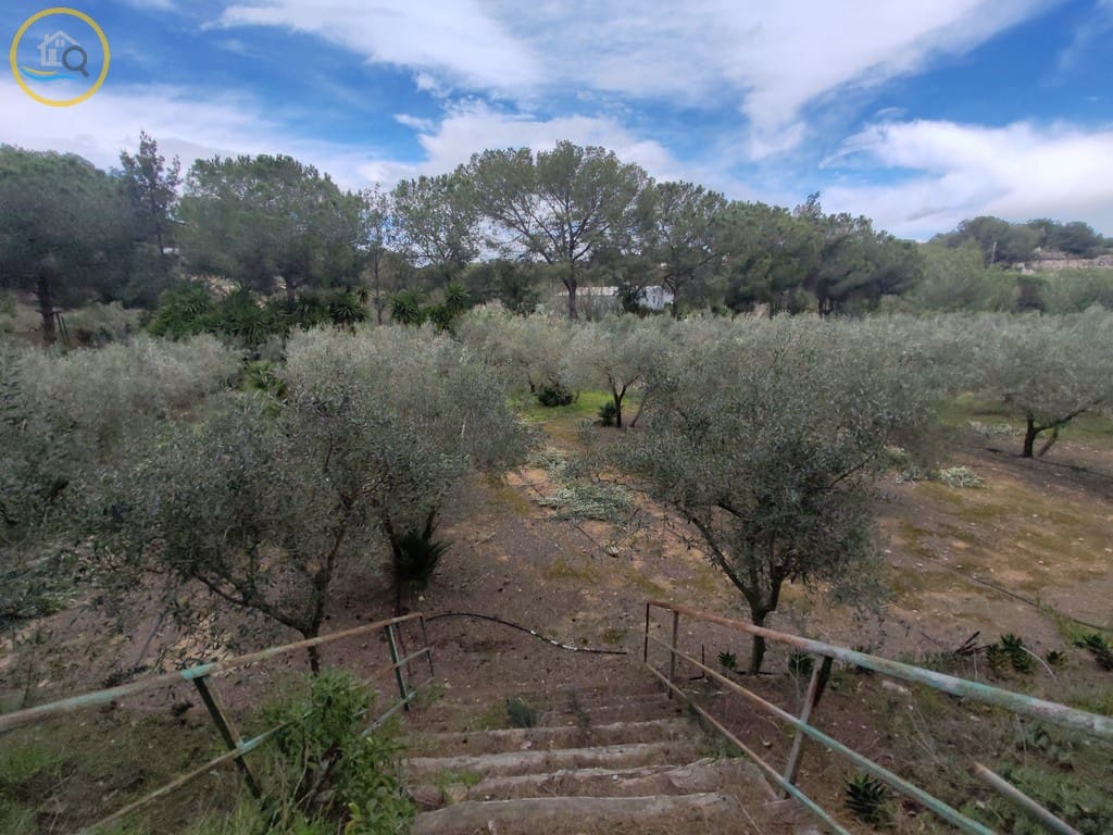 2 soverom Finca/Herregård til salgs i Pilar de la Horadada med svømmebasseng - € 199 950 (Ref: 8947007)