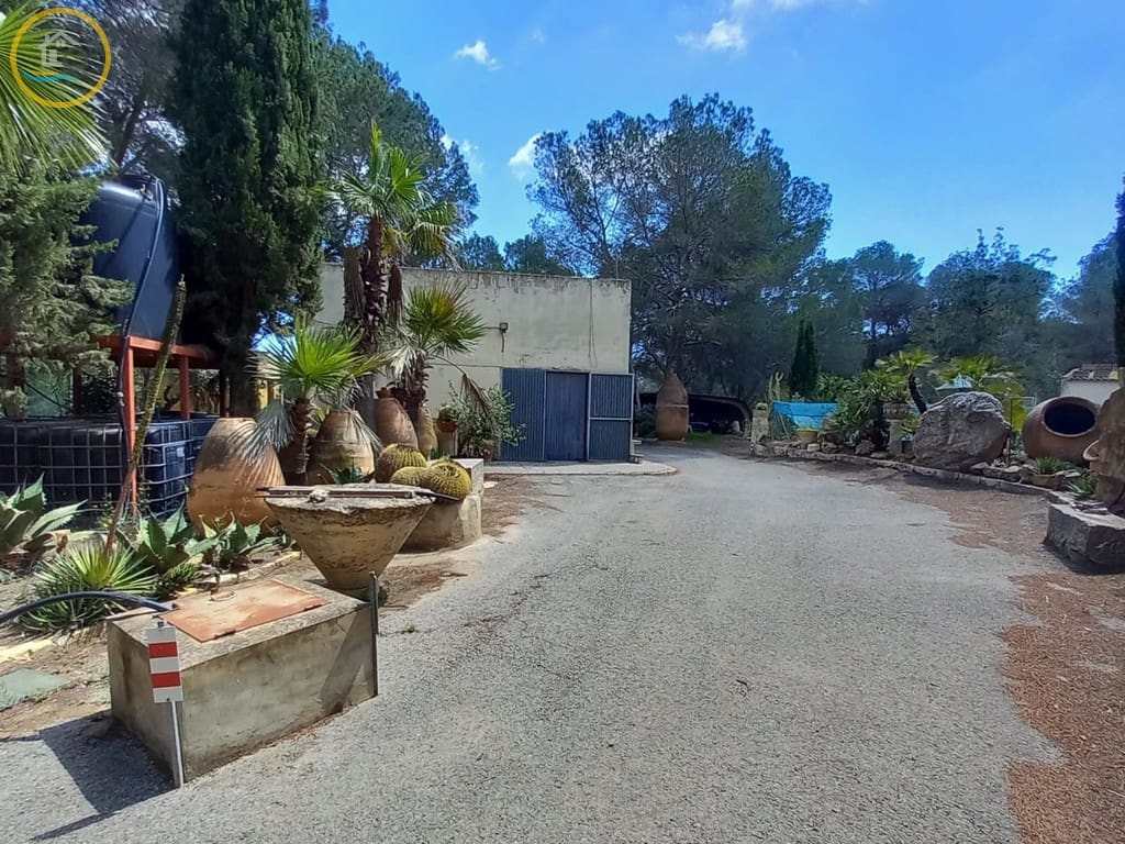 2 soverom Finca/Herregård til salgs i Pilar de la Horadada med svømmebasseng - € 199 950 (Ref: 8947007)