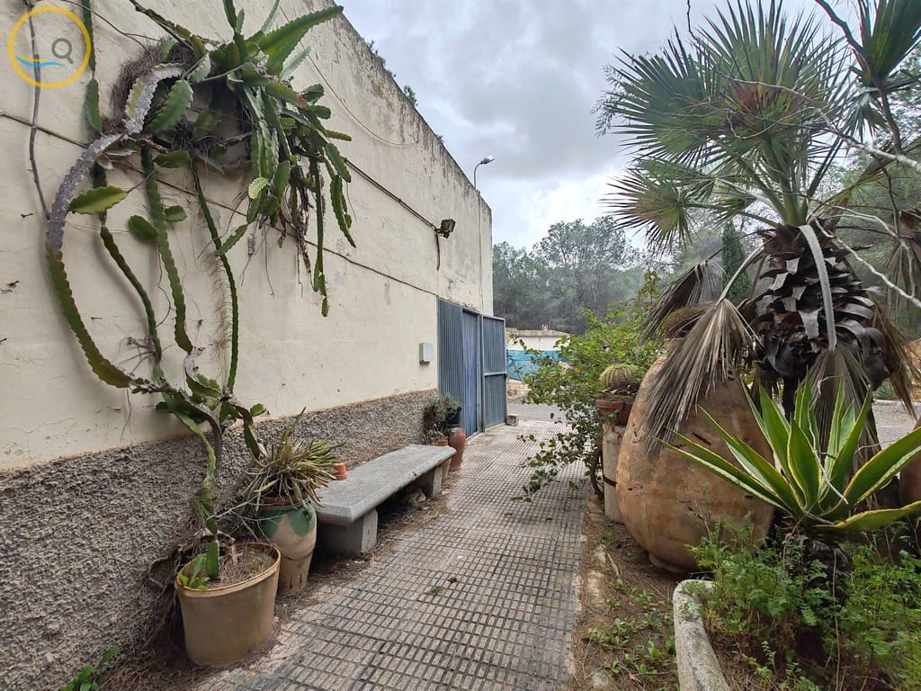 2 soverom Finca/Herregård til salgs i Pilar de la Horadada med svømmebasseng - € 199 950 (Ref: 8947007)