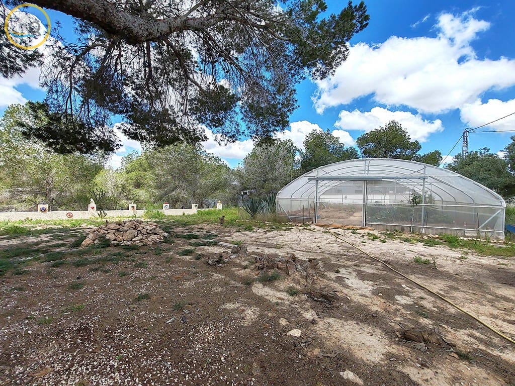 3 sypialnia Willa na sprzedaż w Pilar de la Horadada z basenem garażem - 435 000 € (Ref: 8960764)