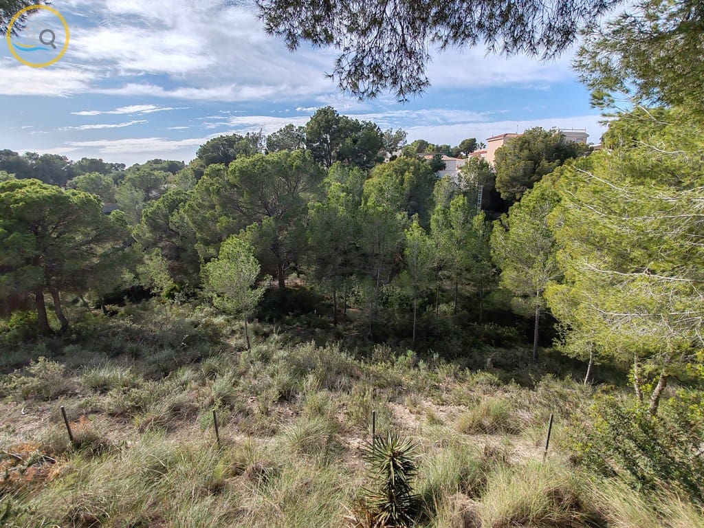 Chalet de 2 habitaciones en Pinar de Campoverde en venta con garaje - 279.950 € (Ref: 9449714)