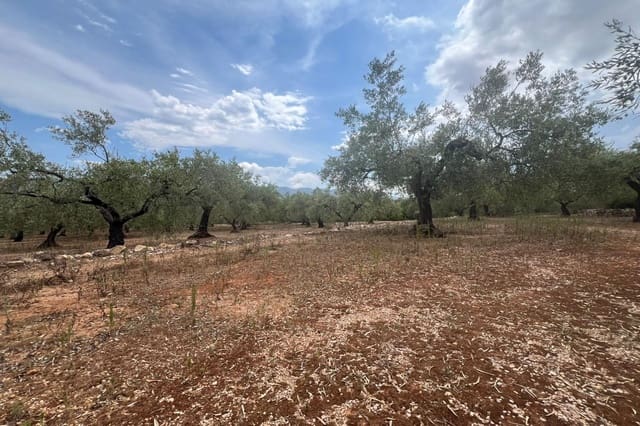 1 Zimmer Finca/Landgut zu verkaufen in Freginals - 35.000 € (Ref: 10005645)