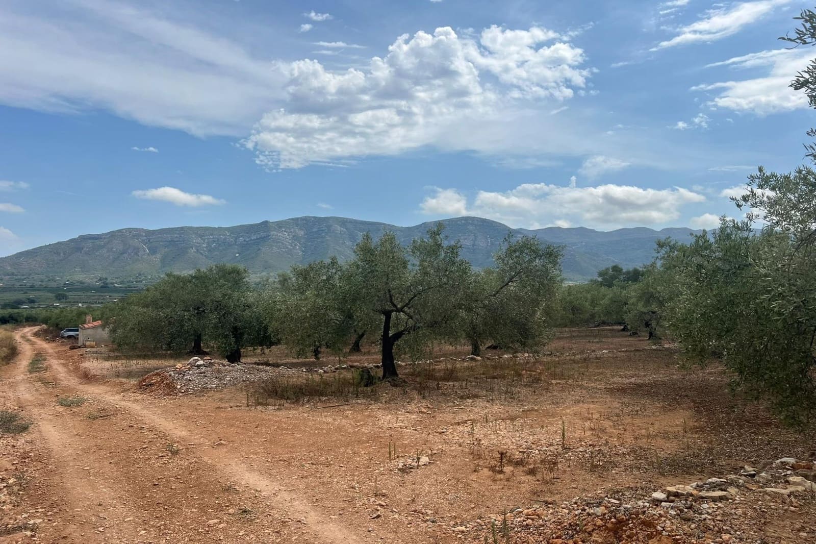 1 Zimmer Finca/Landgut zu verkaufen in Freginals - 35.000 € (Ref: 10005645)