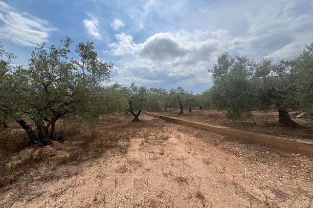 1 Zimmer Finca/Landgut zu verkaufen in Freginals - 35.000 € (Ref: 10005645)