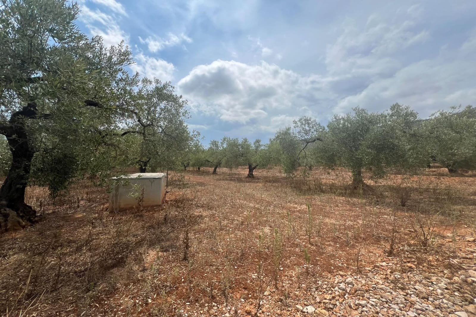 1 Zimmer Finca/Landgut zu verkaufen in Freginals - 35.000 € (Ref: 10005645)
