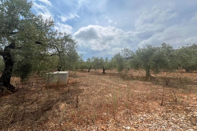1 Zimmer Finca/Landgut zu verkaufen in Freginals - 35.000 € (Ref: 10005645)