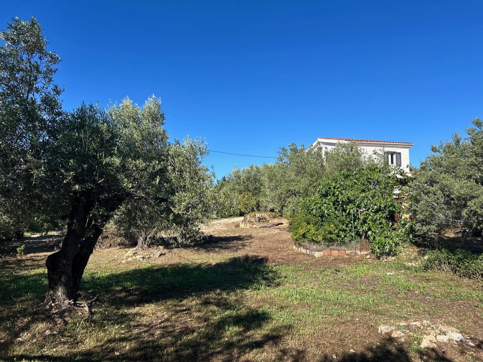 3 slaapkamer Finca/Landhuis te koop in L'Ampolla met zwembad garage - € 365.000 (Ref: 10015613)