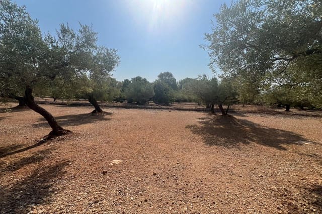 Finca/Herregård til salgs i El Perelló - € 80 000 (Ref: 10020952)