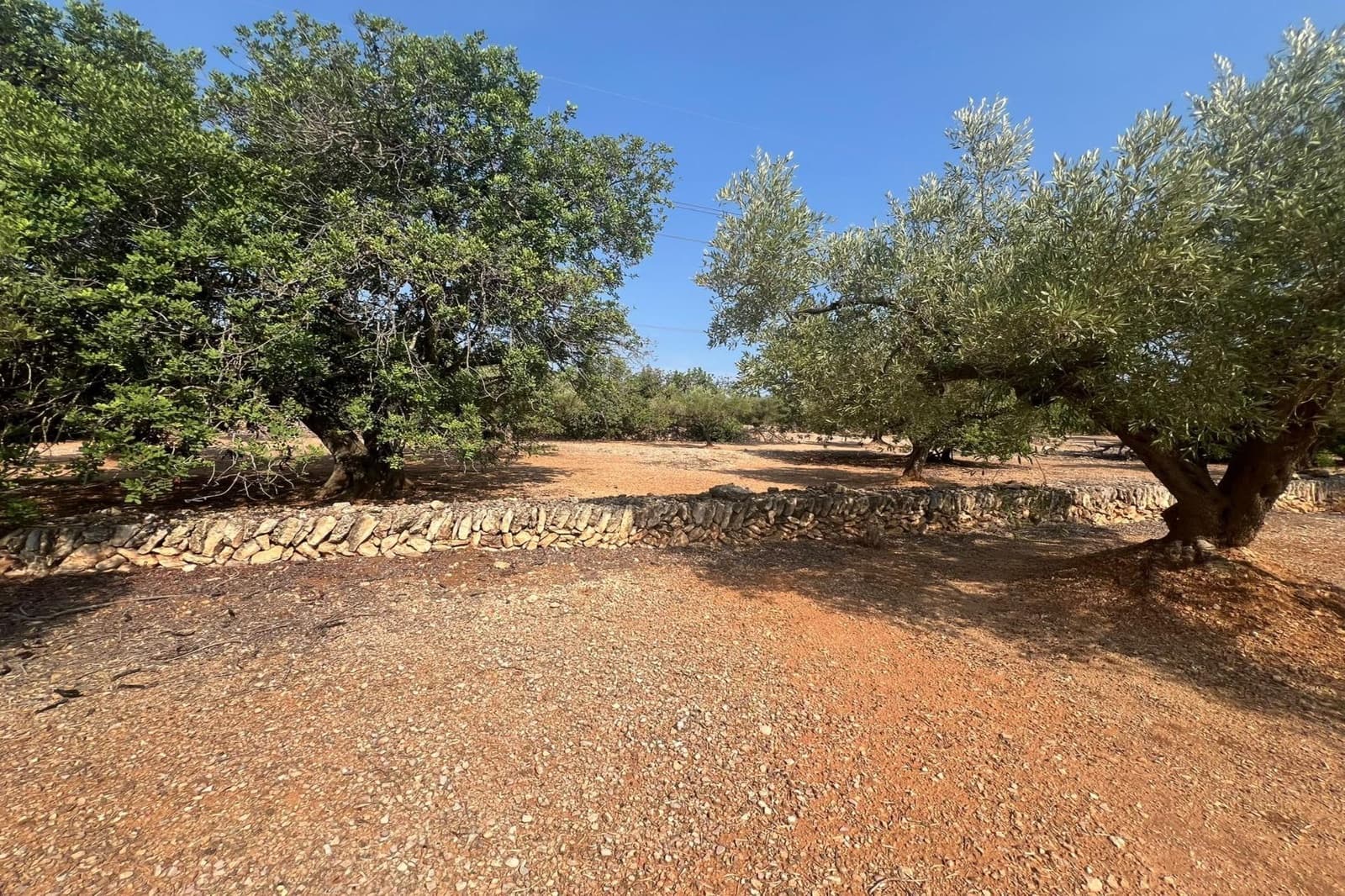 Finca/Country House for sale in El Perello - € 80,000 (Ref: 10020952)