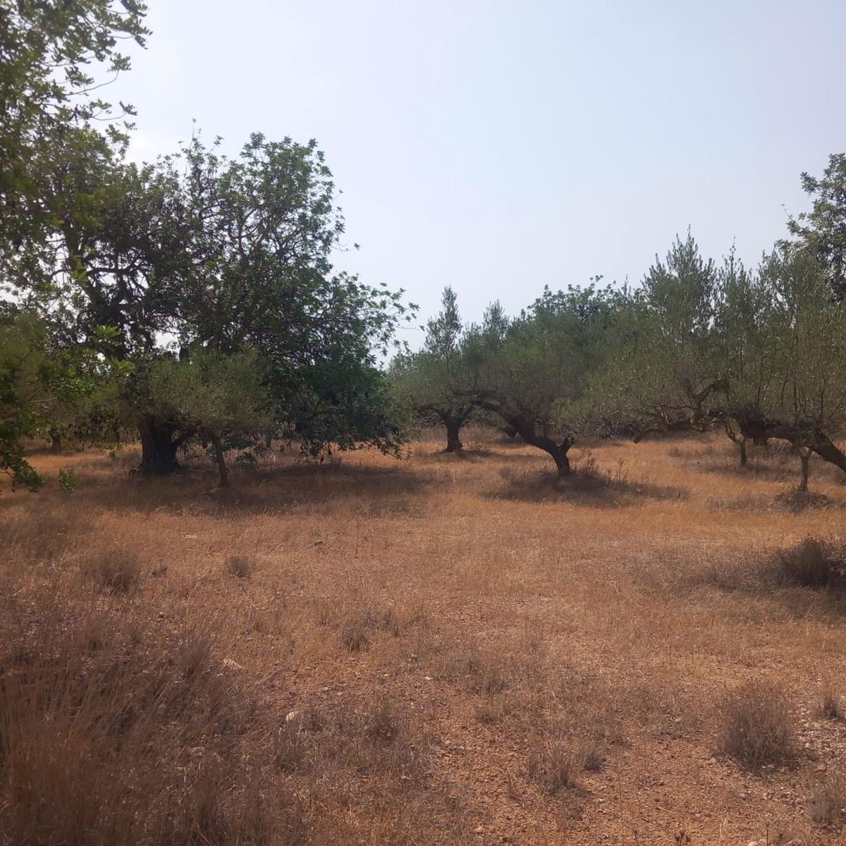 Finca/Landhuis te koop in Tortosa - € 140.000 (Ref: 10024172)
