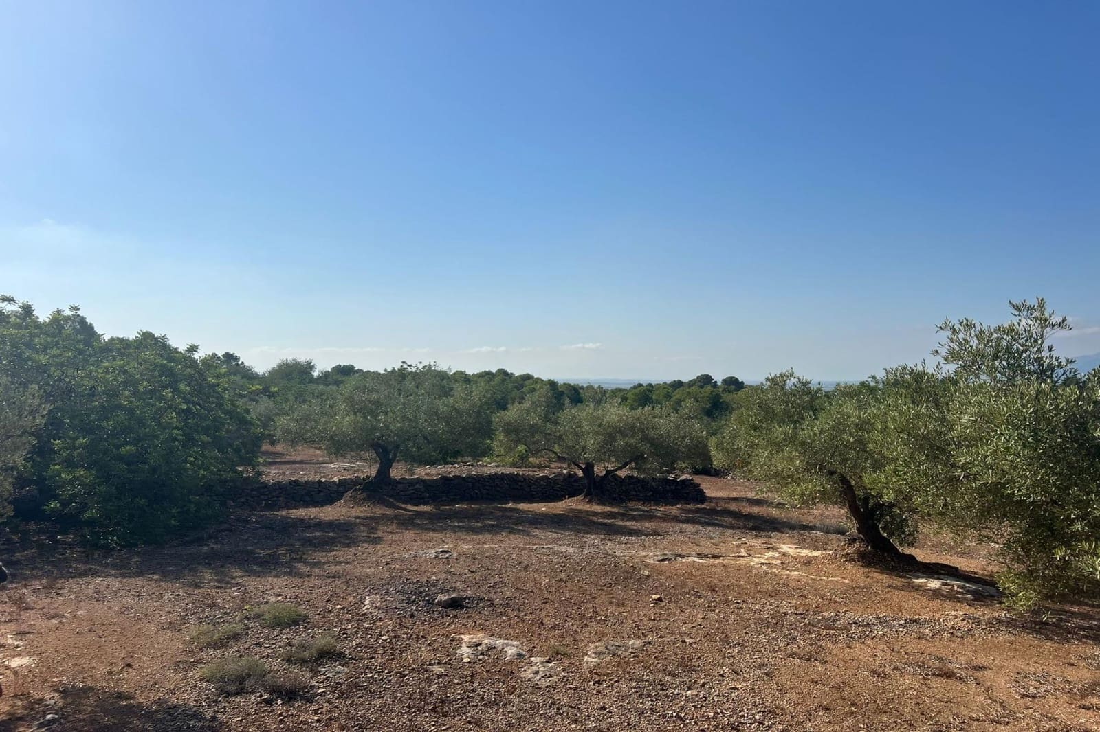 Finca/Landehus til salg i Tortosa - € 70.000 (Ref: 10055316)