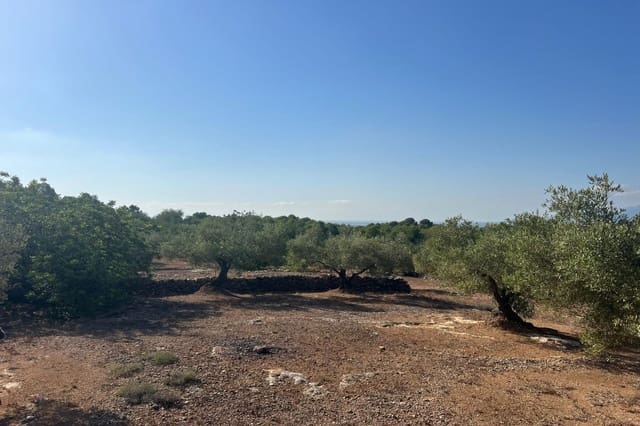 Finca/Landehus til salg i Tortosa - € 70.000 (Ref: 10055316)