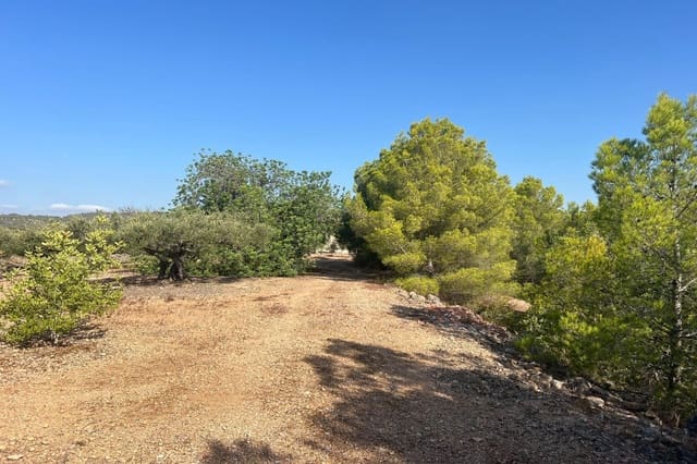 Finca/Landehus til salg i Tortosa - € 70.000 (Ref: 10055316)