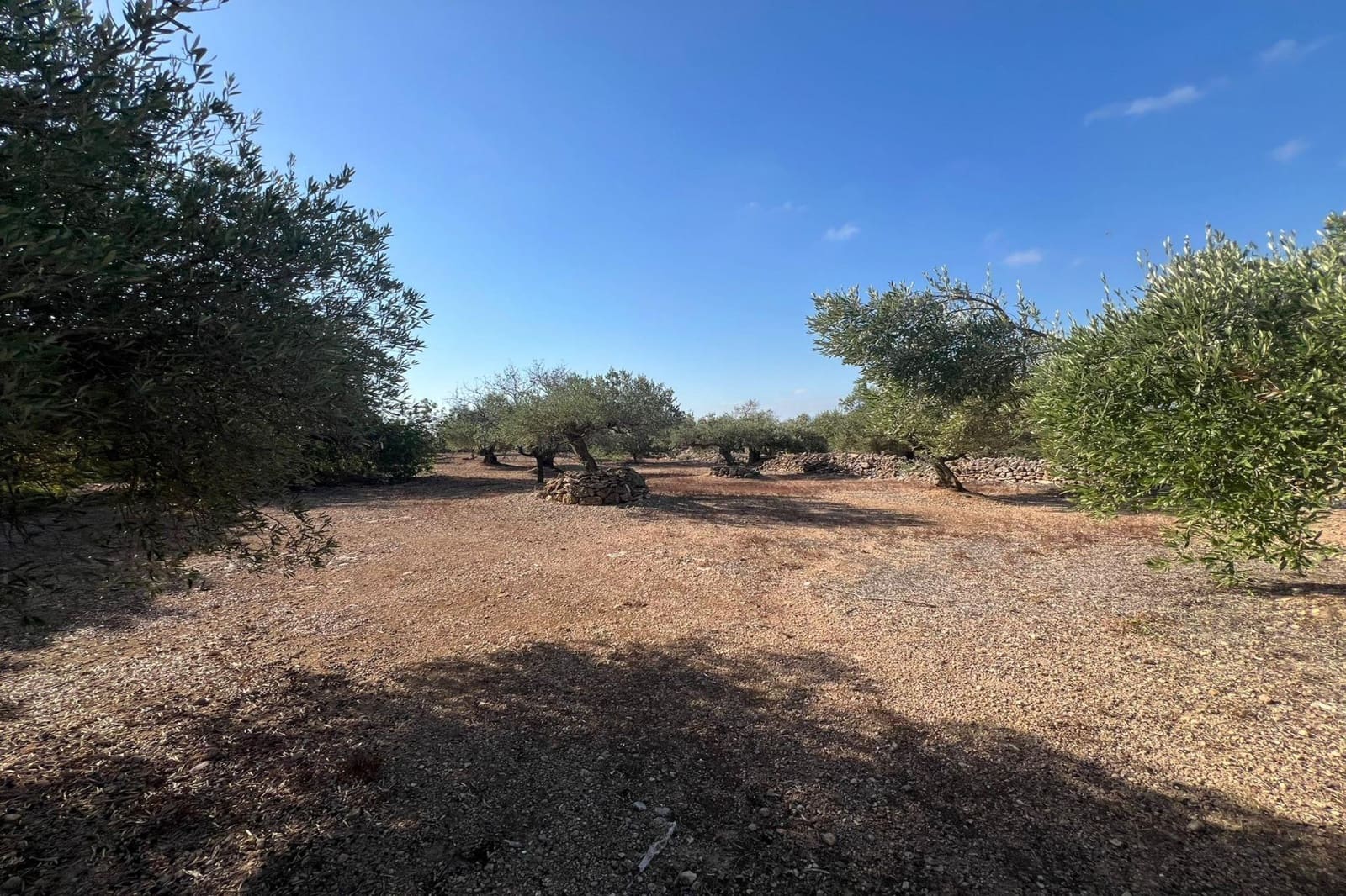 Finca/Landehus til salg i Tortosa - € 70.000 (Ref: 10055316)