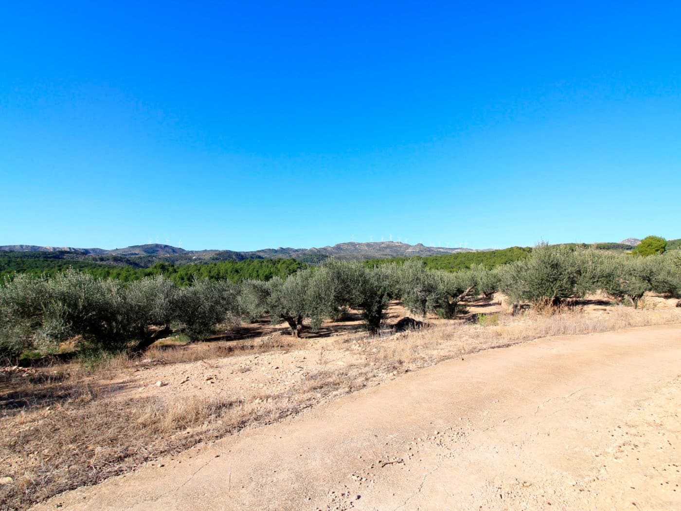 3 chambre Finca/Maison de Campagne à vendre à El Perello - 345 000 € (Ref: 10159736)