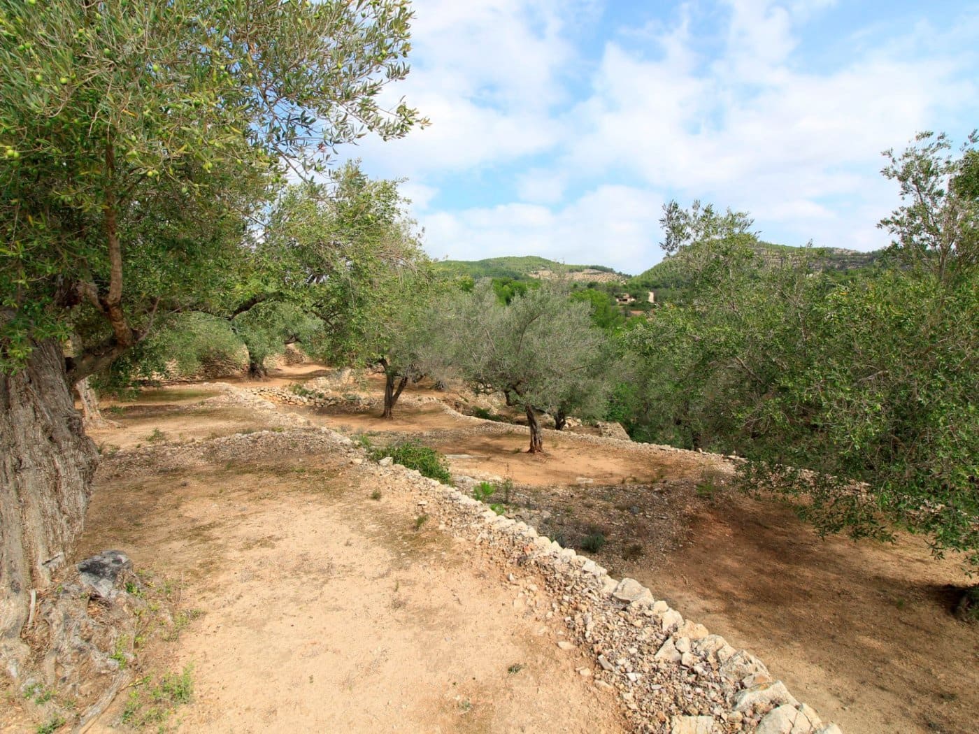 3 chambre Finca/Maison de Campagne à vendre à El Perello - 345 000 € (Ref: 10159736)