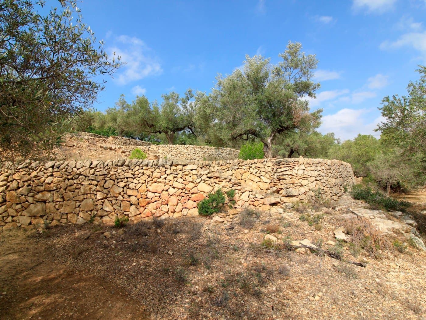 3 chambre Finca/Maison de Campagne à vendre à El Perello - 345 000 € (Ref: 10159736)